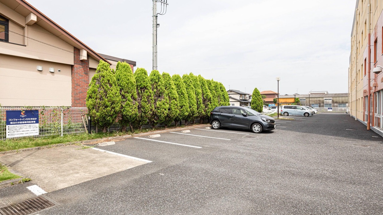 Photo of Others in Hitachinaka