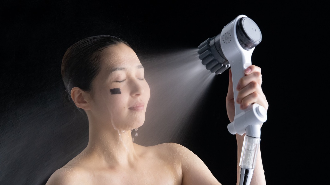Photo of Human In Picture in Hitachi