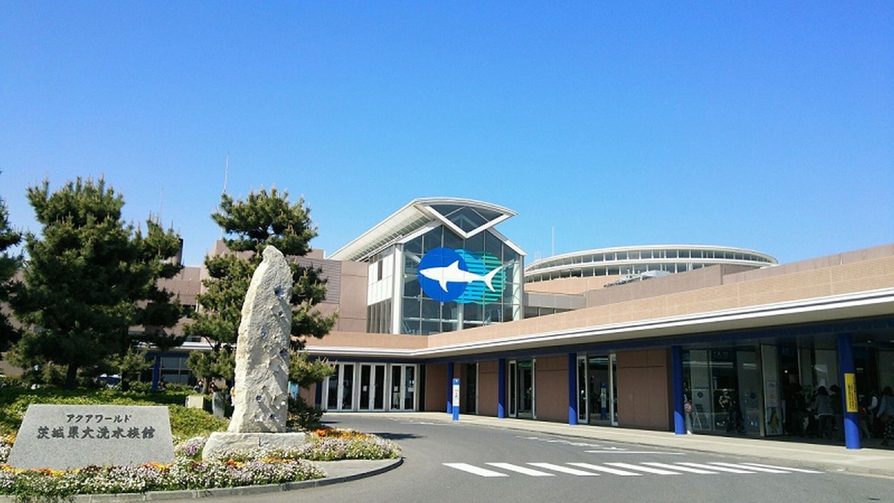 Photo of Others in Hitachi