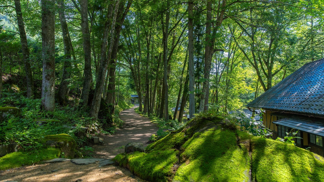 Photo of Outdoor in Takayama