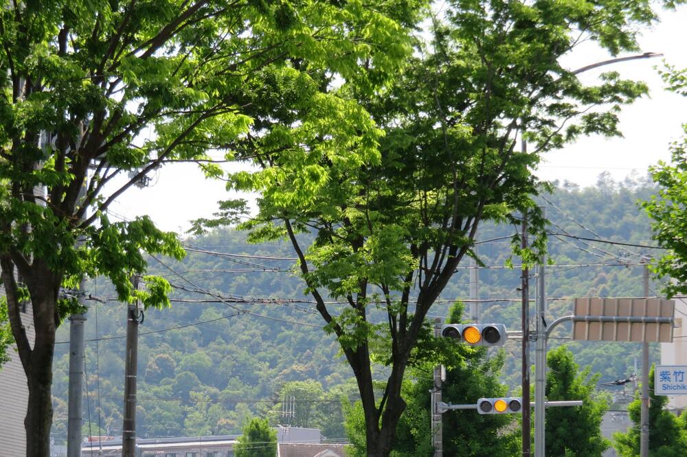 Photo of Outdoor in Kita Ward