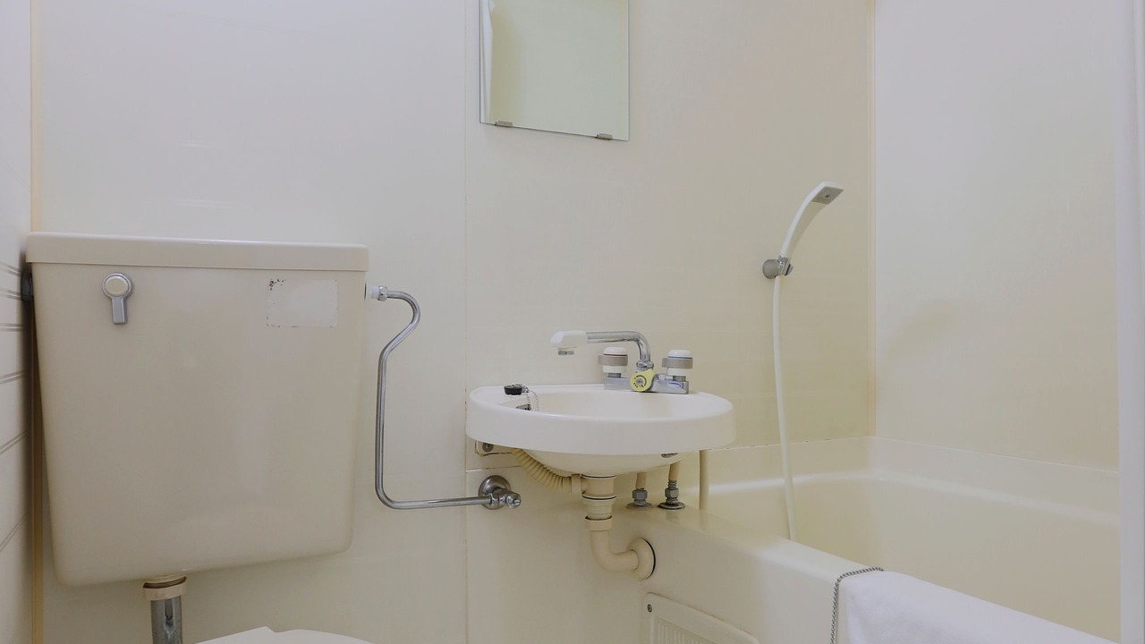 Photo of Bathroom in Miyazaki