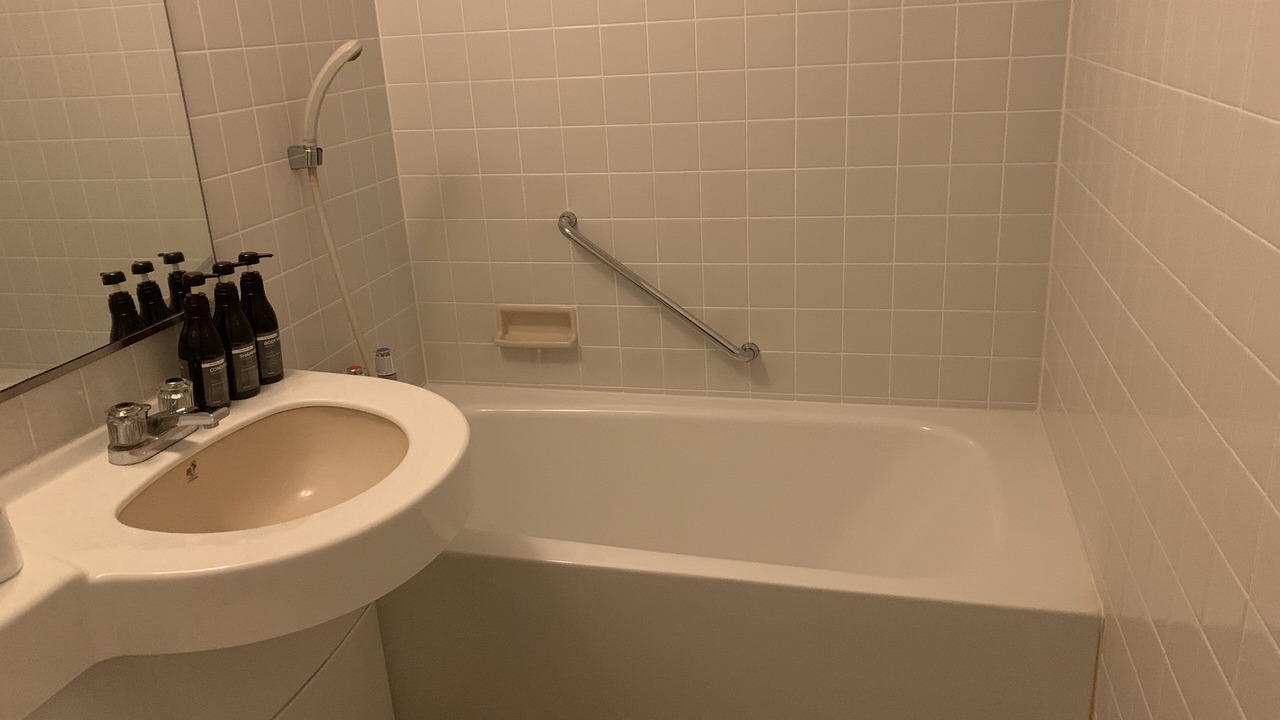 Photo of Bathroom in Roppongi