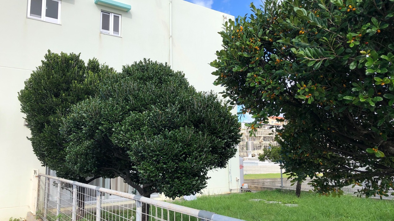 Photo of Outdoor in Namihira