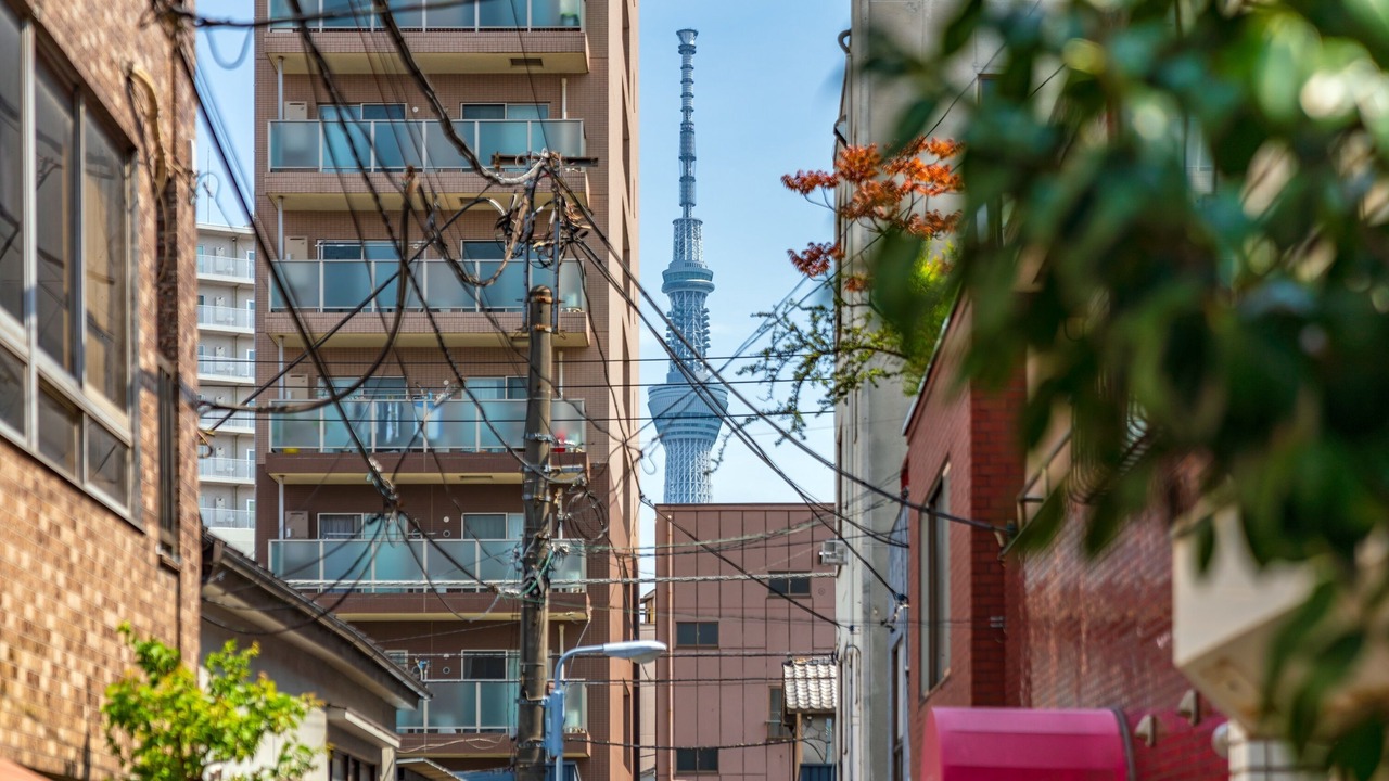 Photo of Others in Asakusa