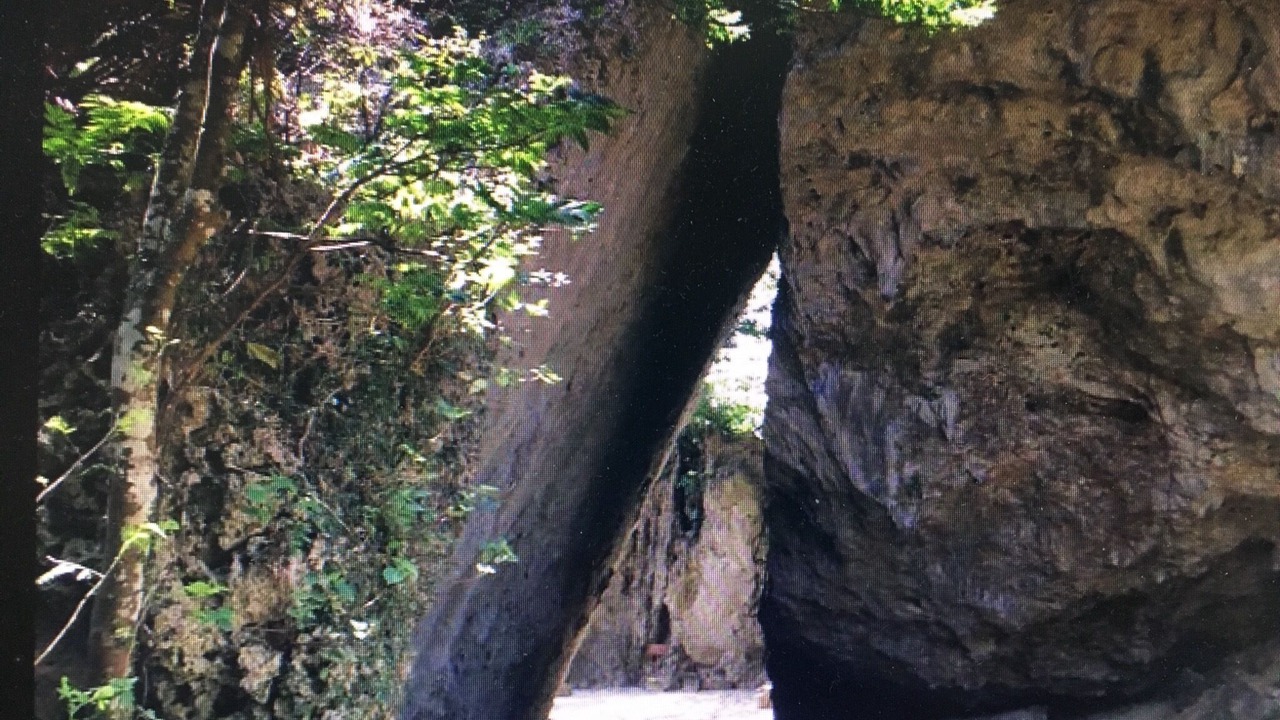 Photo of Outdoor in Yonabaru