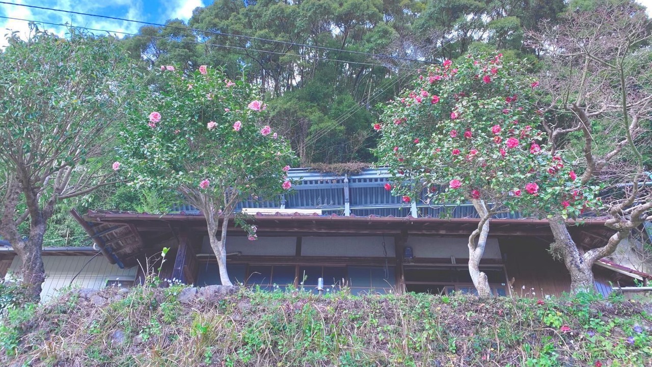 Photo of Outdoor in Nakahechi