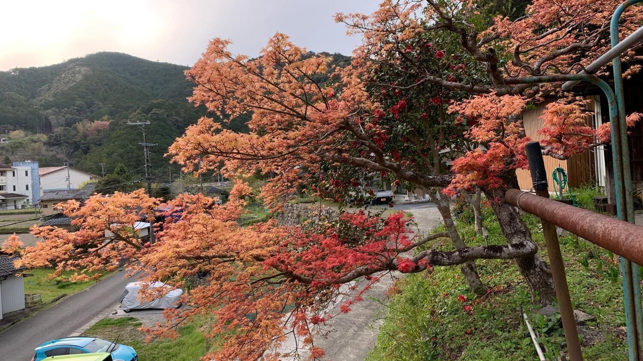 Photo of Outdoor in Nakahechi