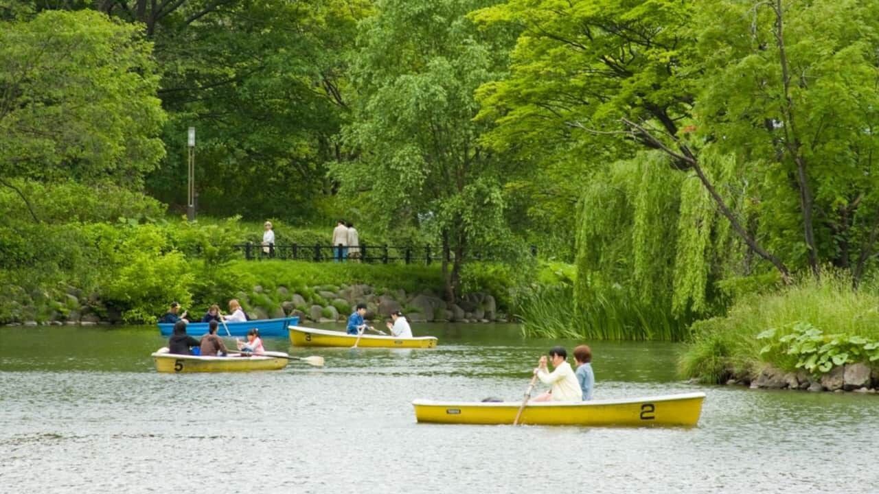 Photo of Others in Nakajimakoen