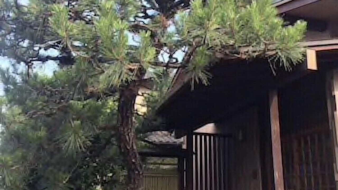 Photo of Outdoor in Hatsukaichi