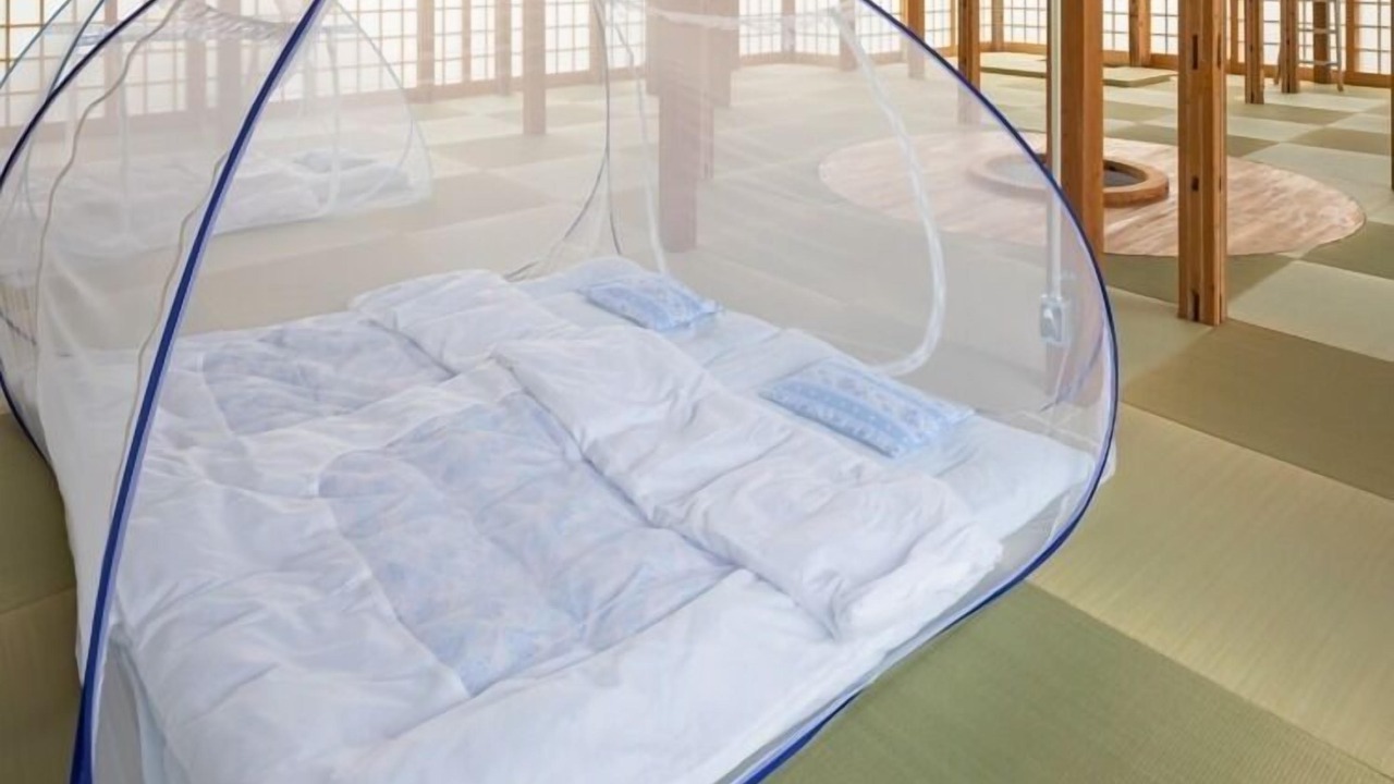 Photo of Bedroom in Futtsu
