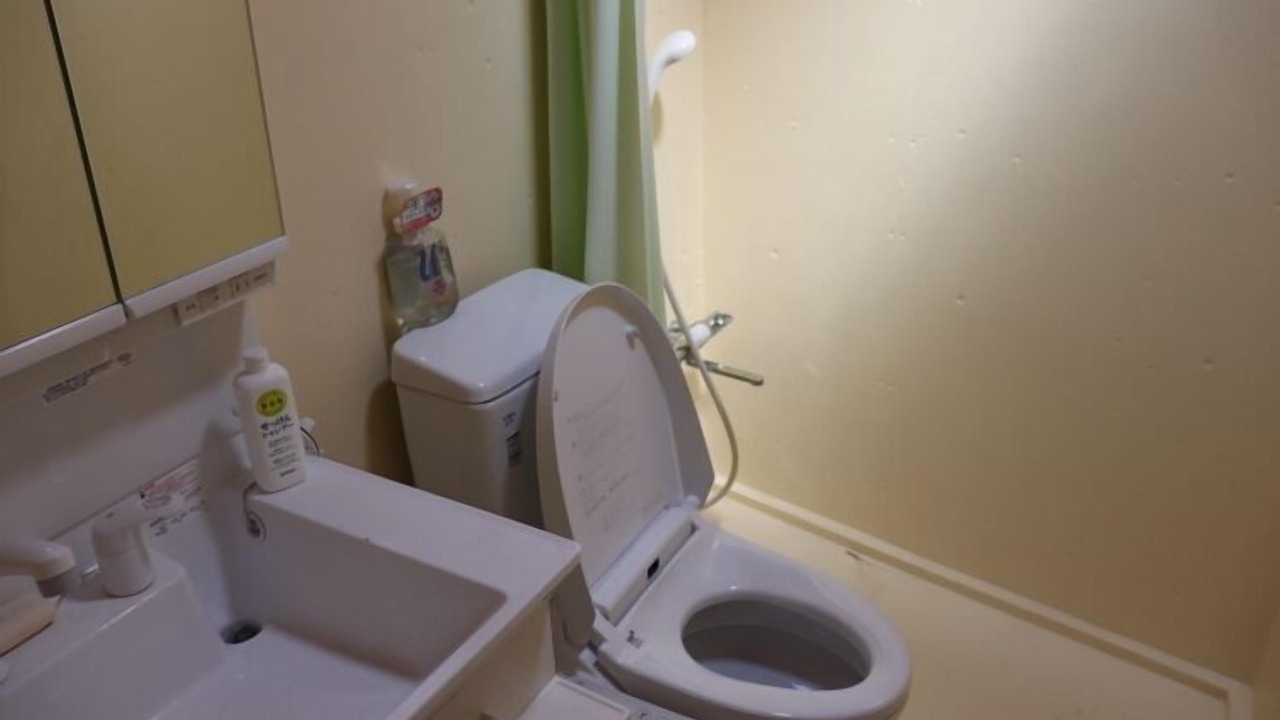 Photo of Bathroom in Futtsu