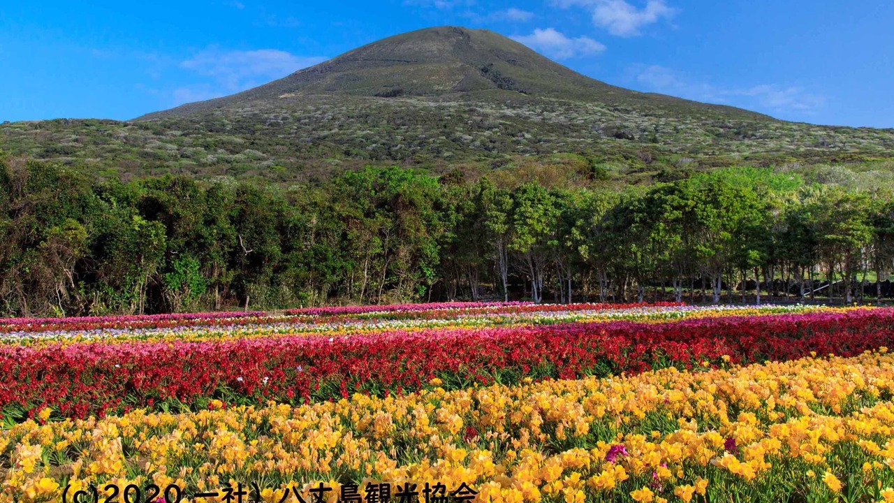 Photo of Outdoor in Hachijo
