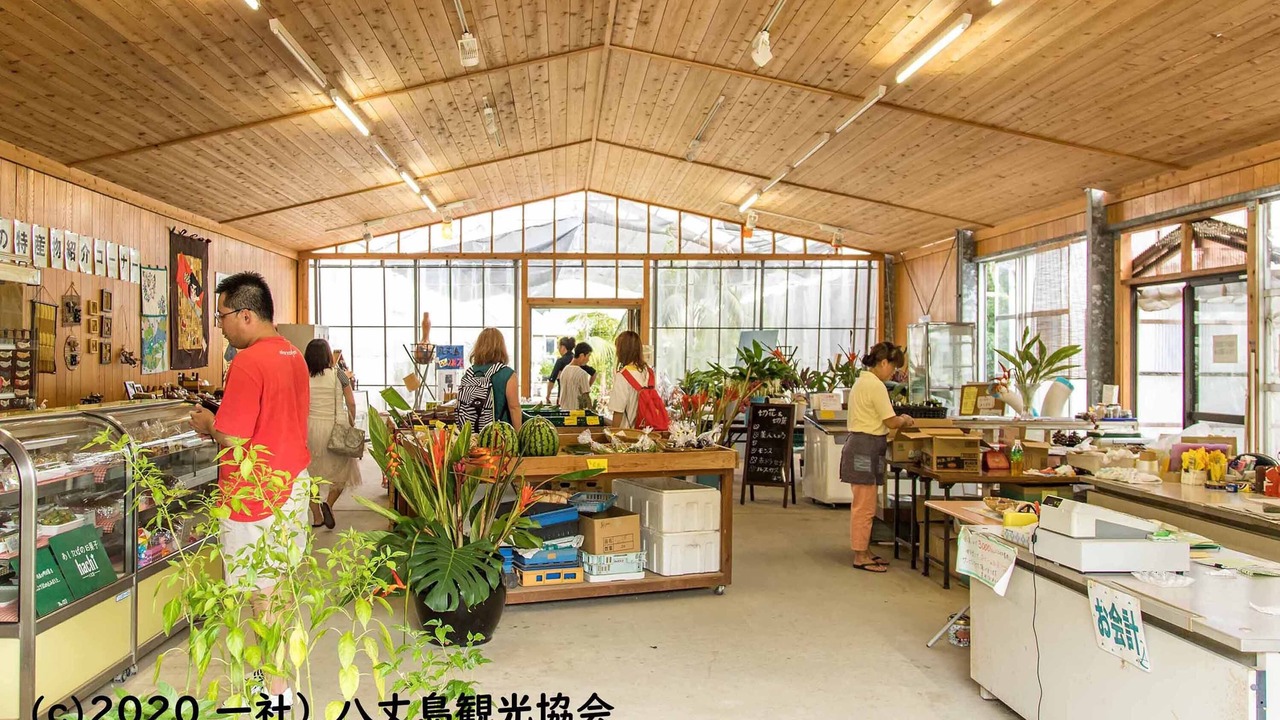 Photo of Others in Hachijo