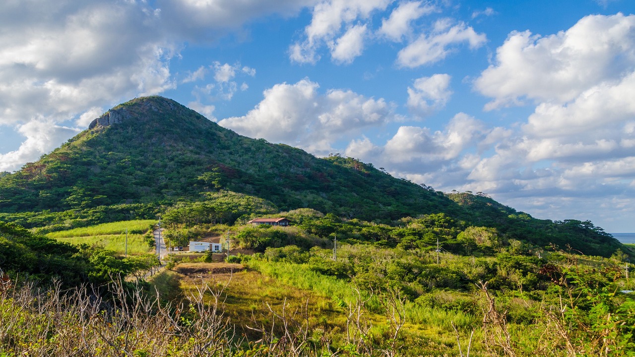 Photo of Others in Ishigaki