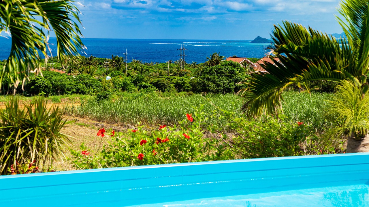 Photo of Others in Ishigaki