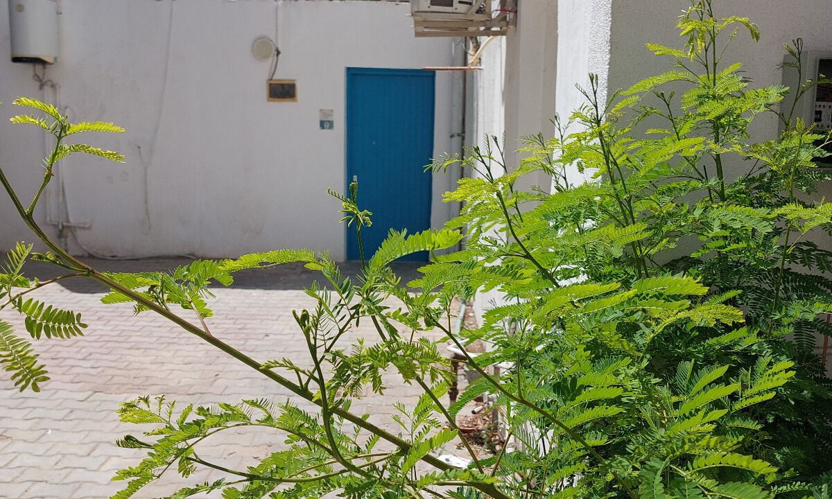Photo of Outdoor in Sakkala