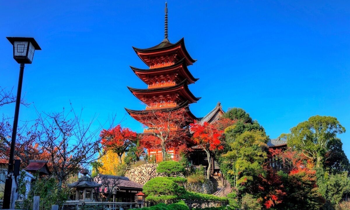 Photo of Others in Hatsukaichi