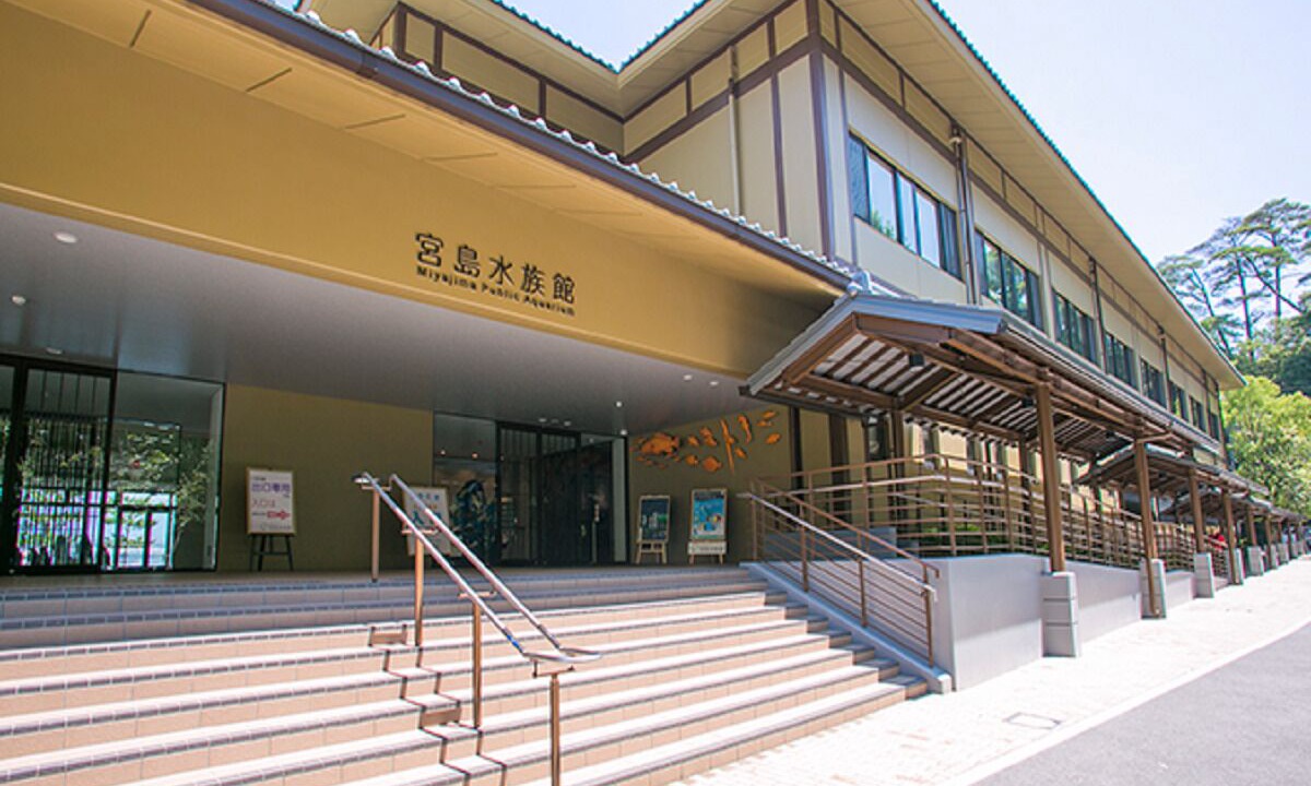 Photo of Others in Hatsukaichi