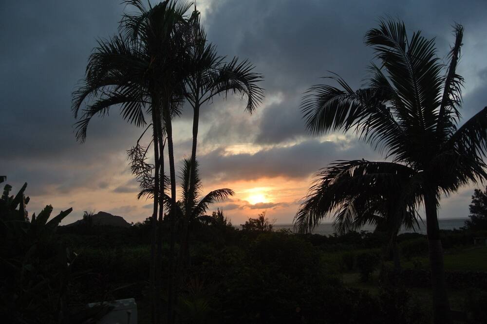 Photo of Others in Ishigaki