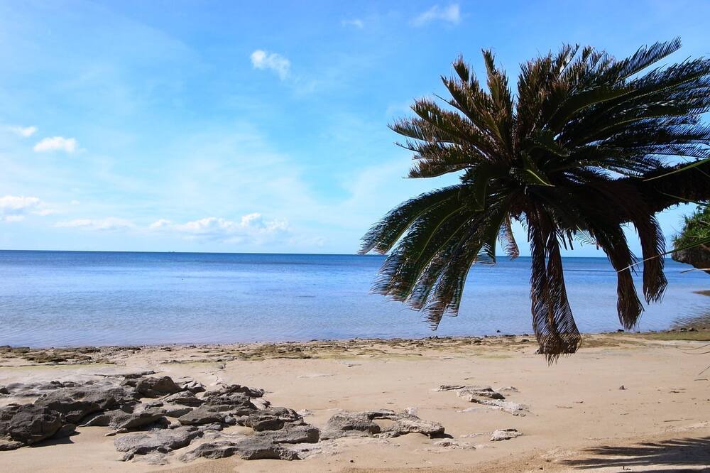 Photo of Others in Ishigaki