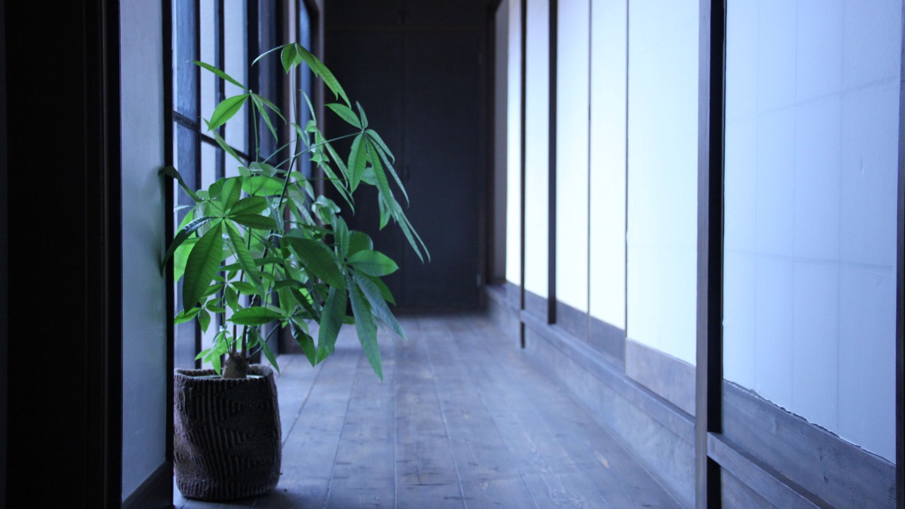 Photo of Others in Sumoto