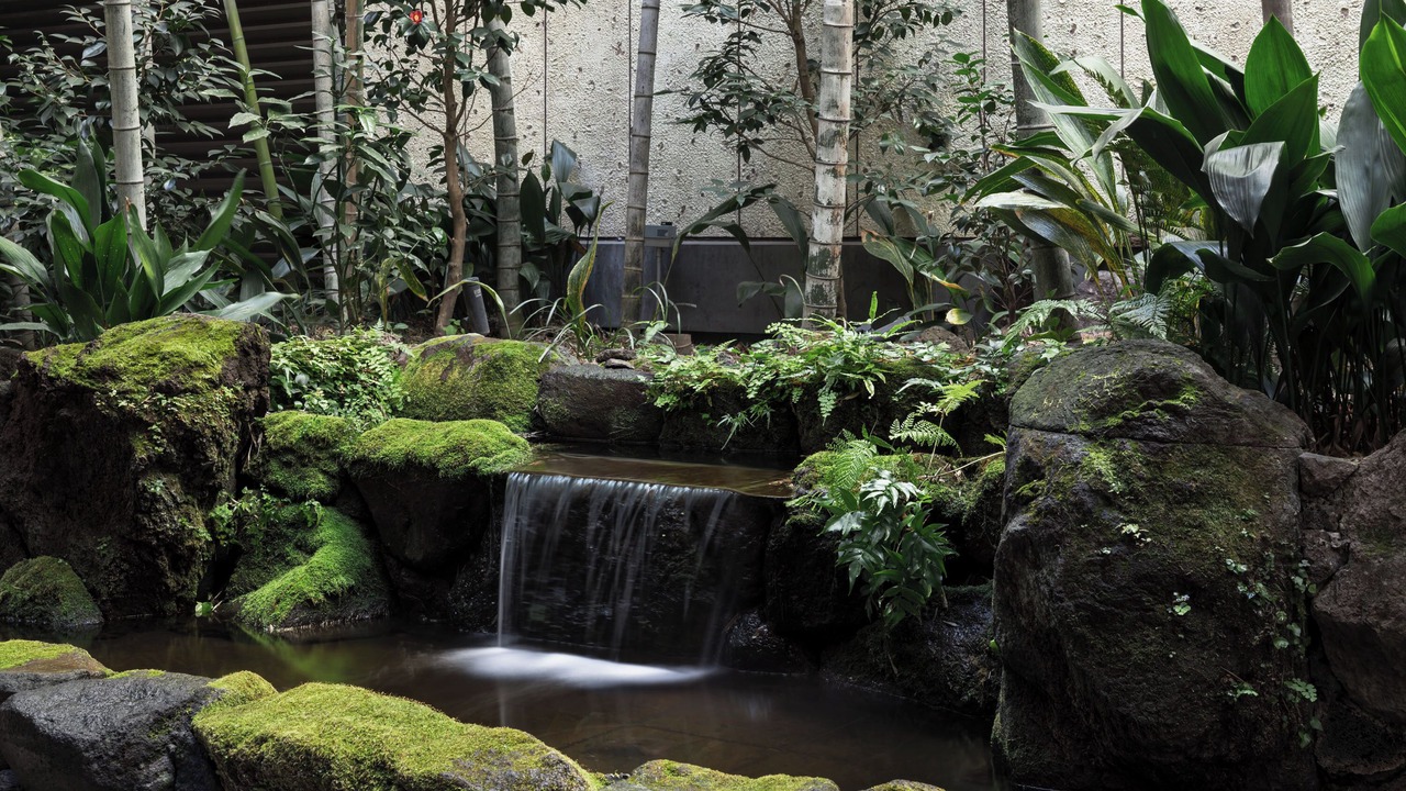 Photo of Outdoor in Kitaaoyama