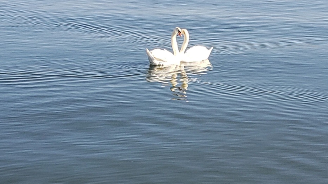Photo of Outdoor in Matsue