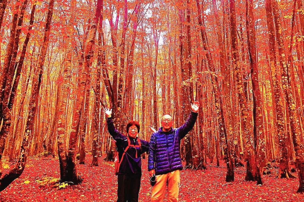Photo of Others in Appi Onsen