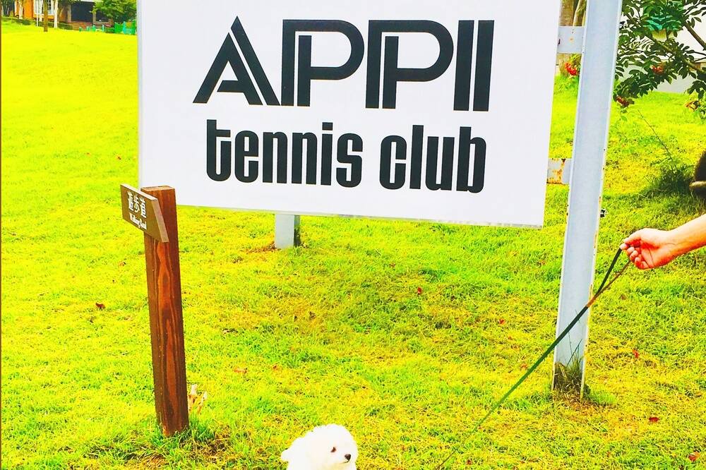 Photo of Others in Appi Onsen