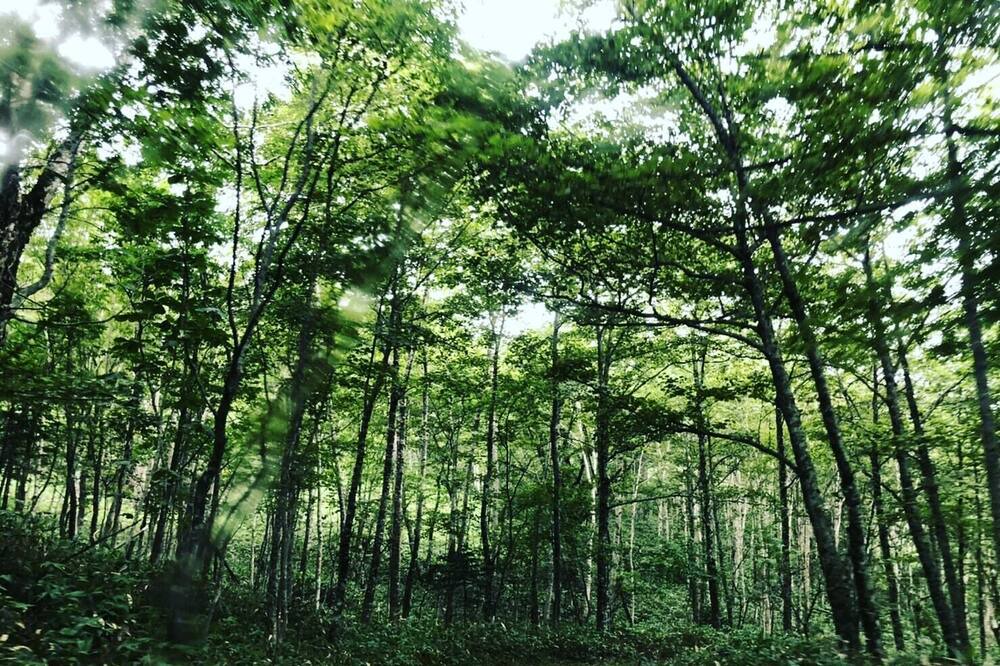 Photo of Outdoor in Kushiro