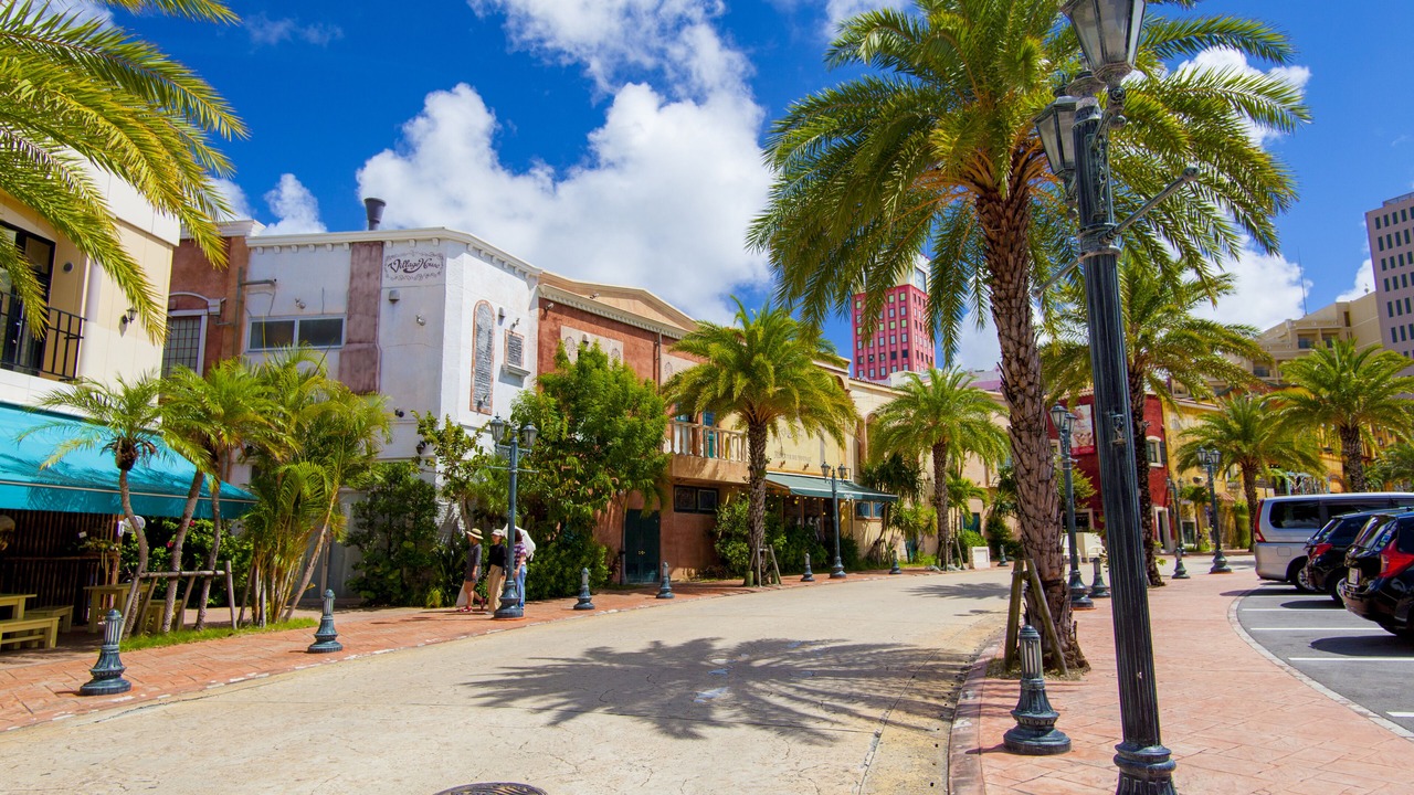 Photo of Others in Kadena-cho