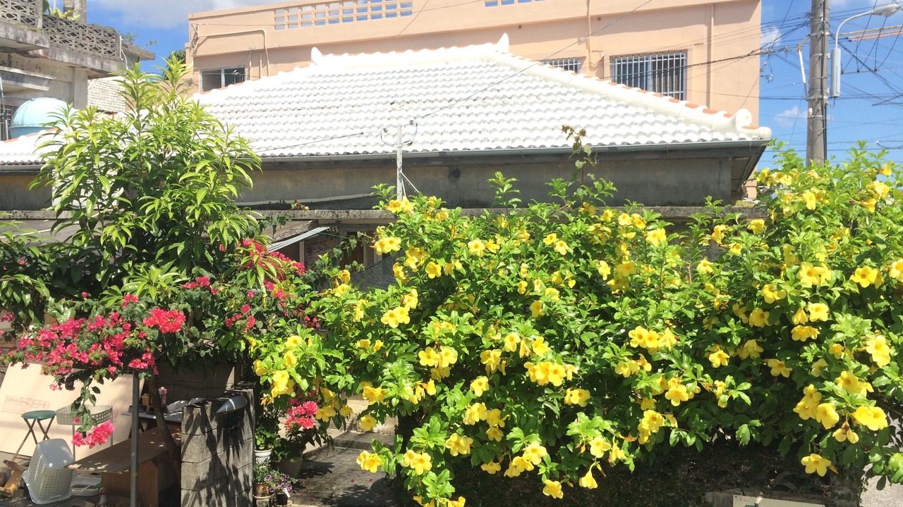 Photo of Outdoor in Kadena-cho