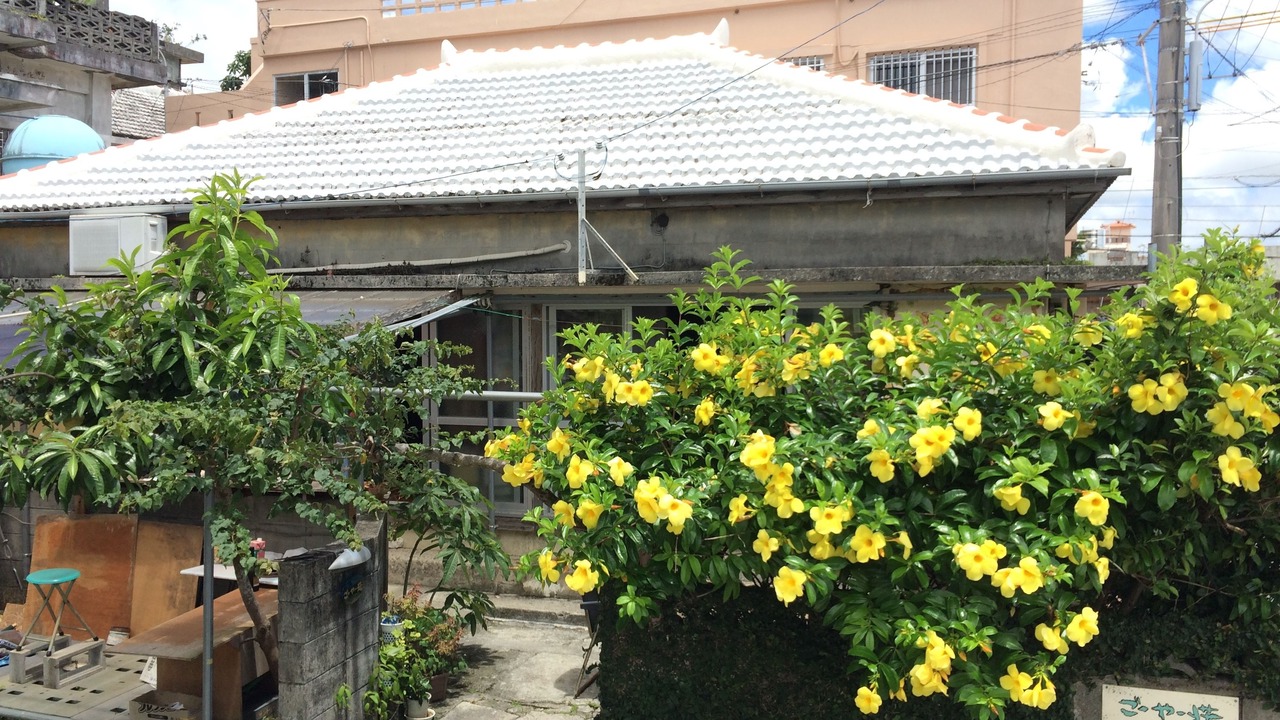 Photo of Outdoor in Kadena-cho