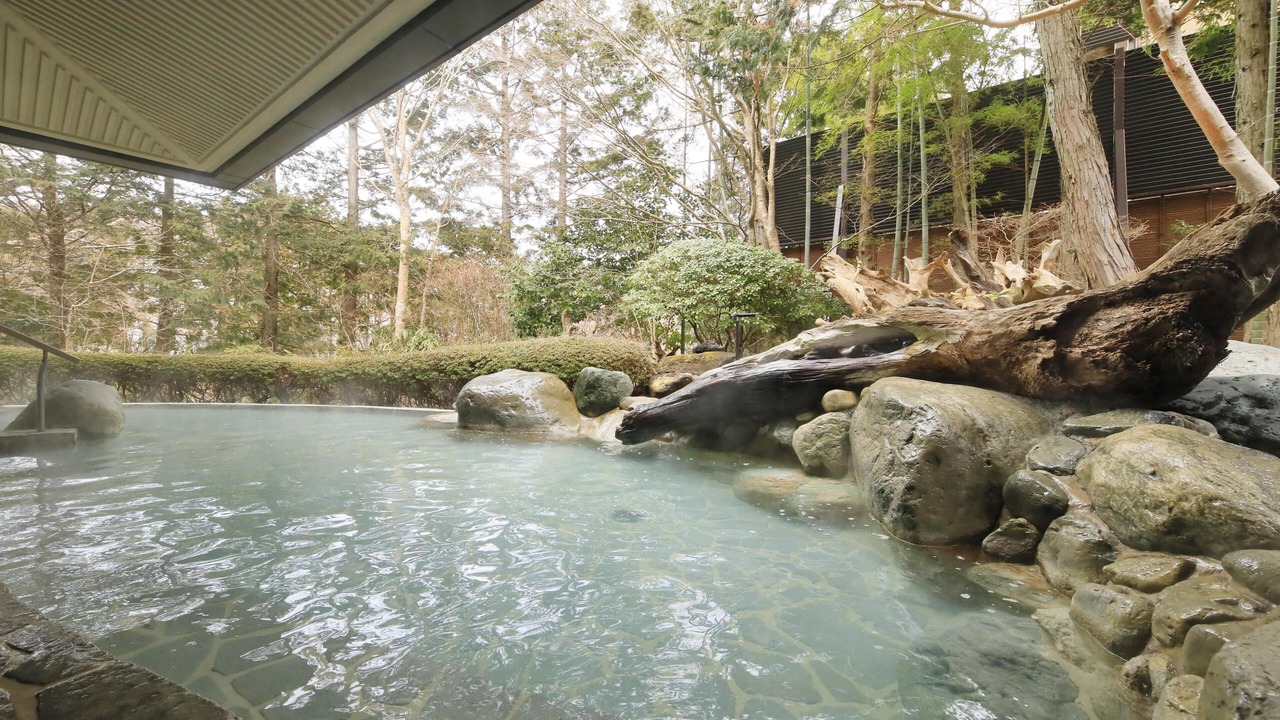 Photo of Others in Hakone