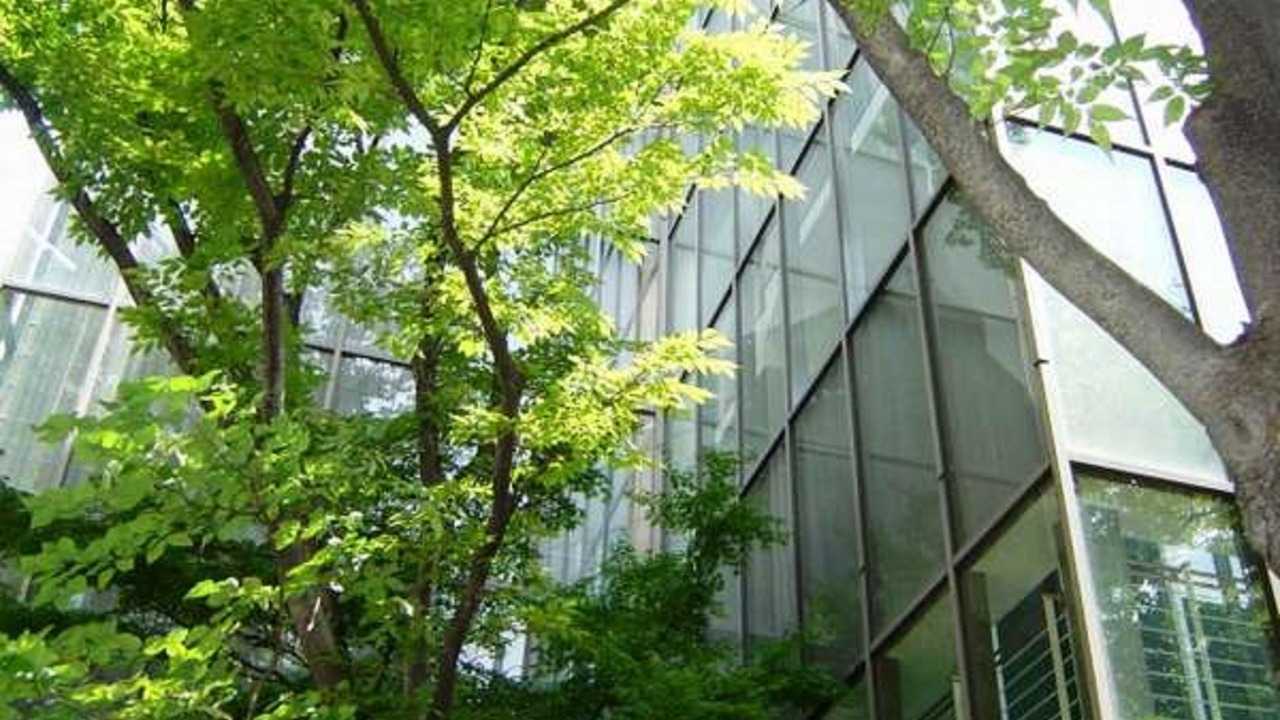 Photo of Outdoor in Tenjin