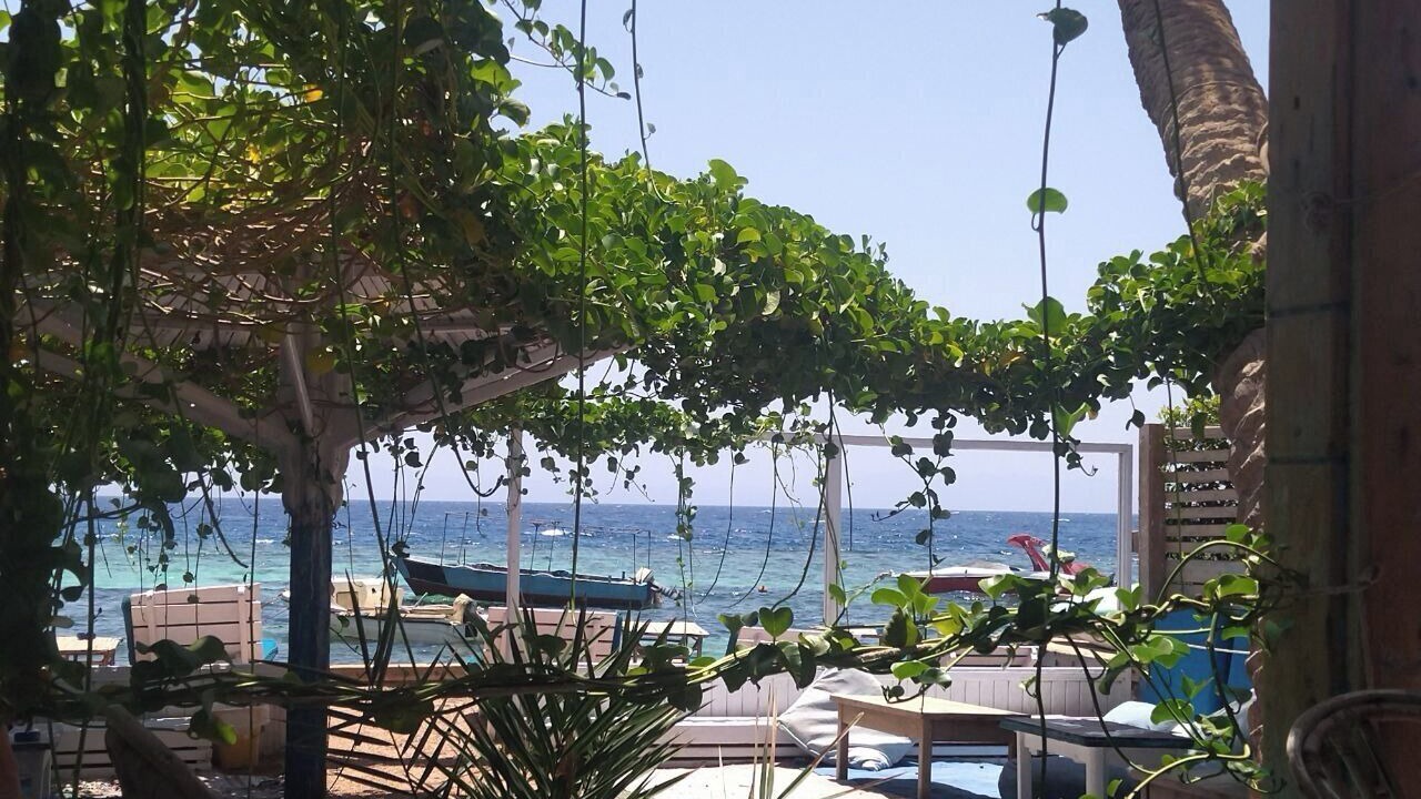 Photo of Others in Dahab