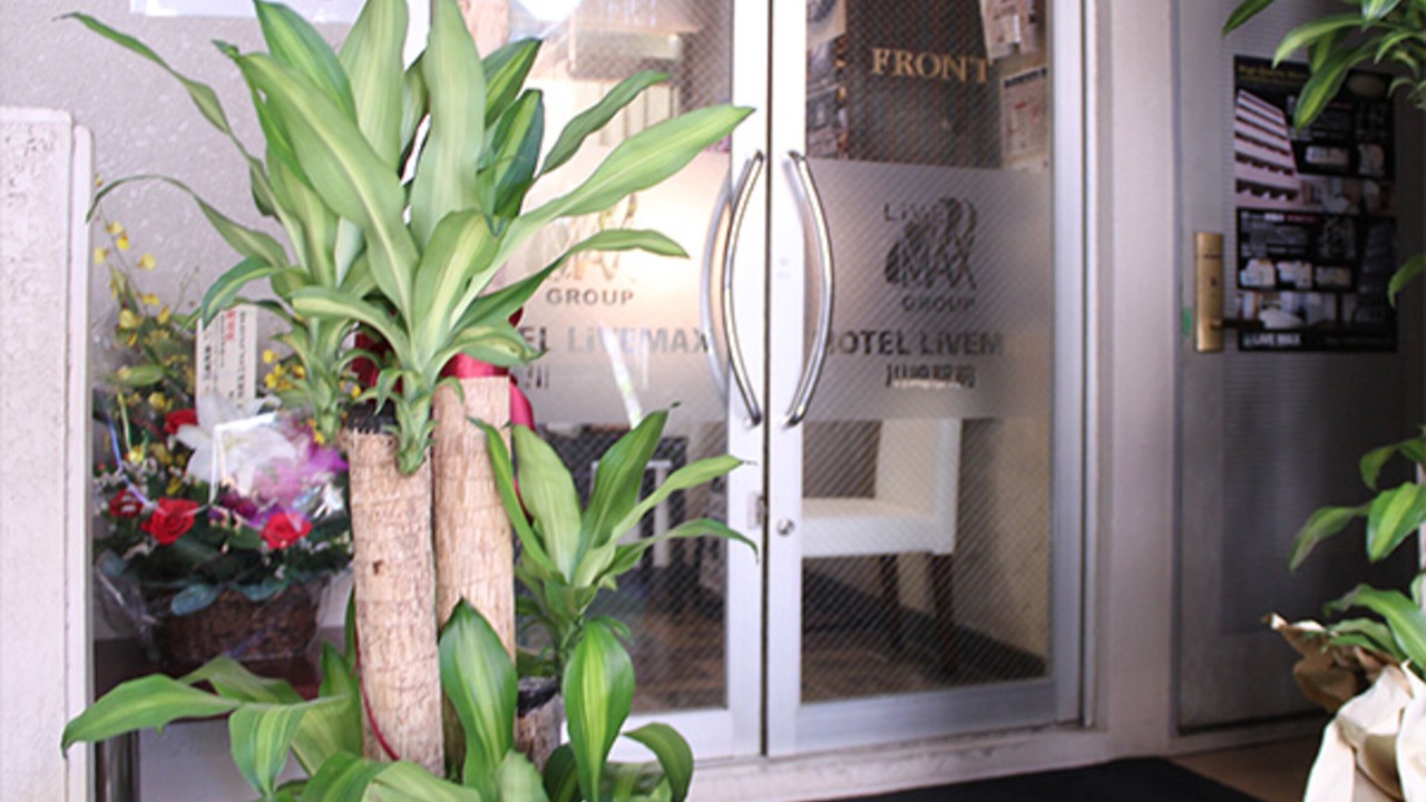 Photo of Outdoor in Saiwai Ward