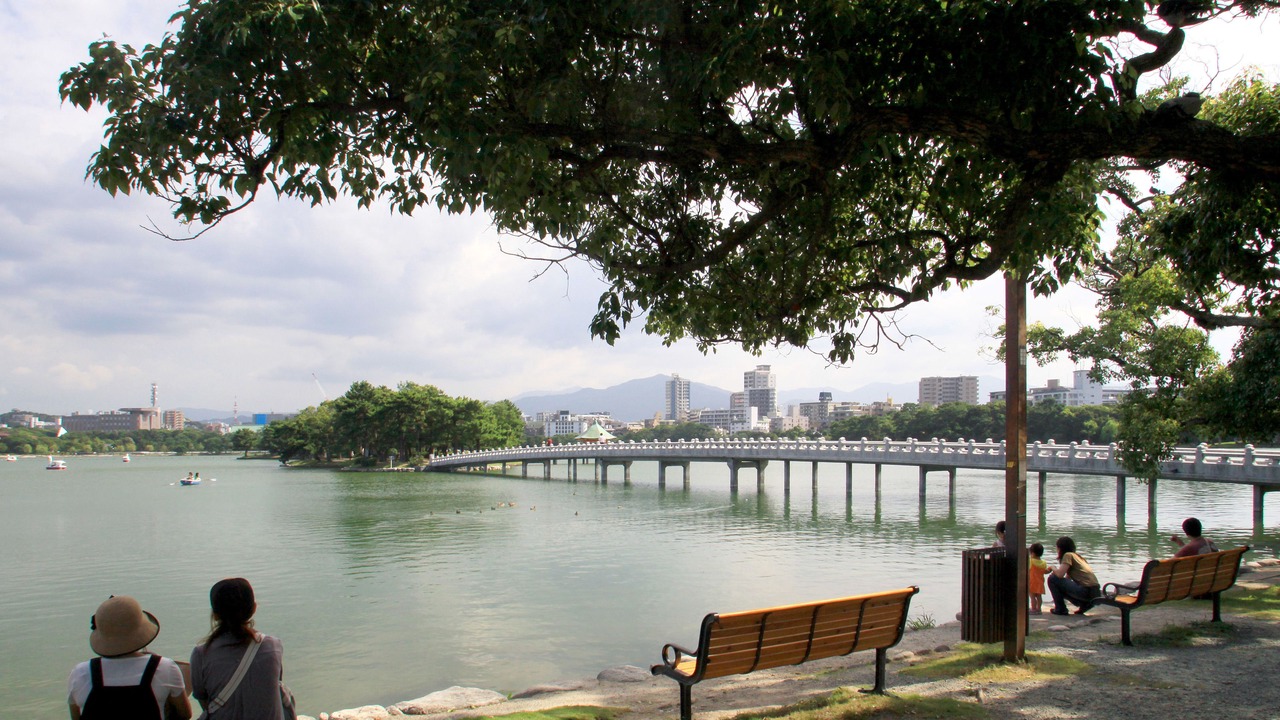 Photo of Others in Susakiuramachi