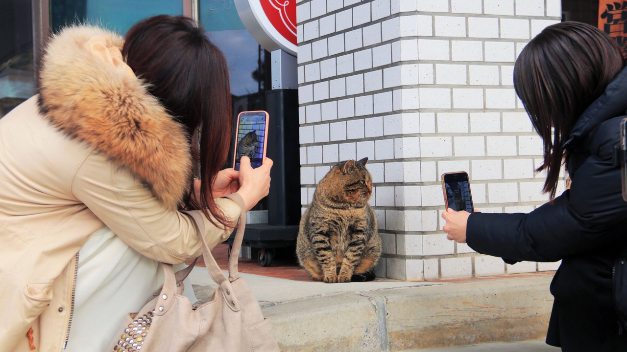 Photo of Others in Izumo