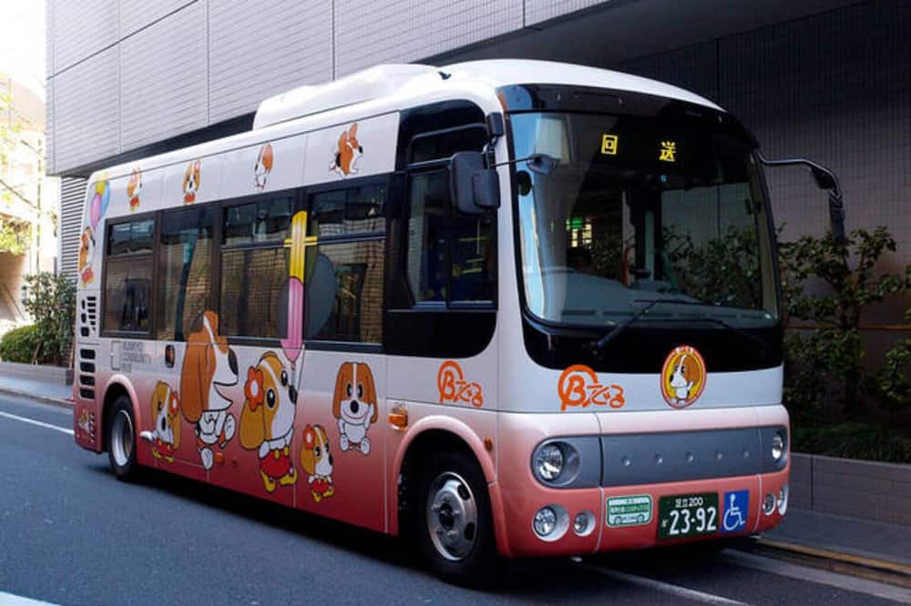 Photo of Outdoor in Bunkyo