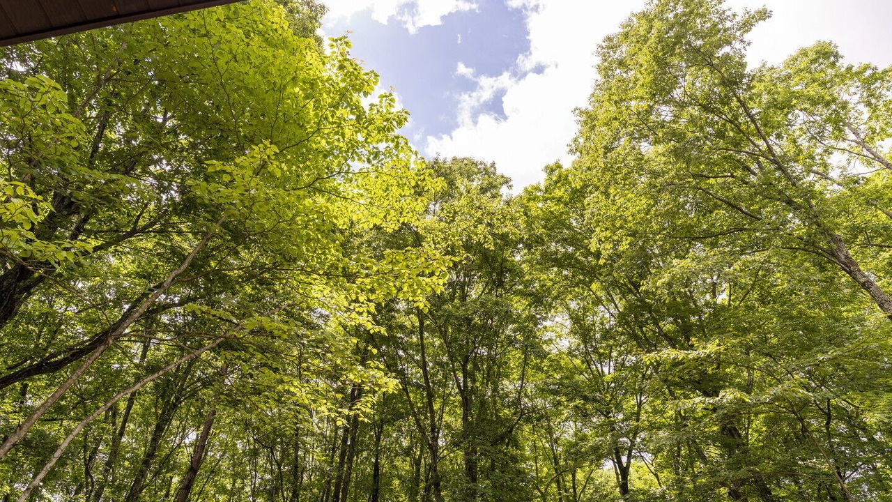 Photo of Outdoor in Tsumagoi