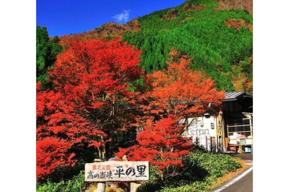 Photo of Others in Anan