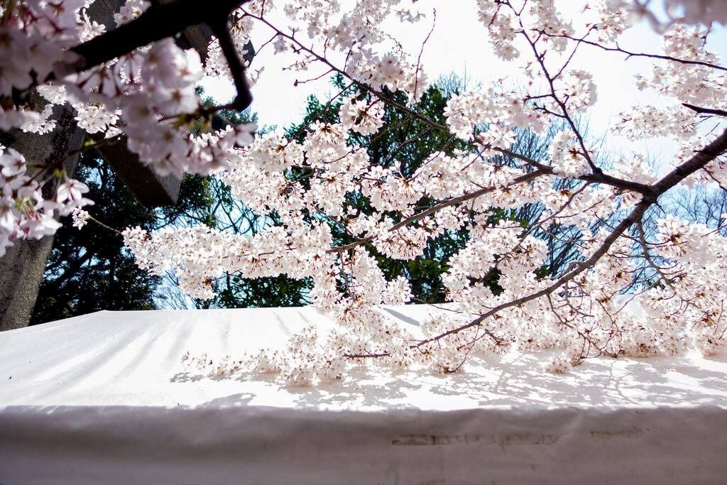 Photo of Outdoor in Ueno