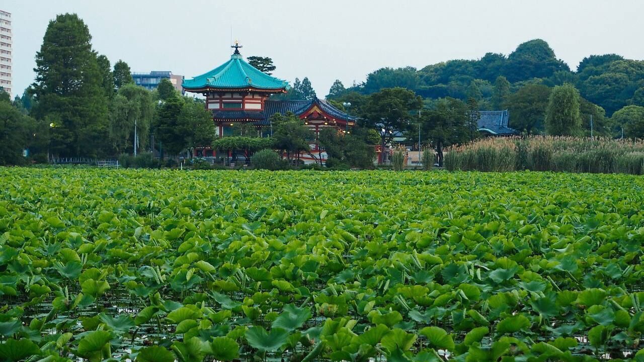Photo of Others in Taito