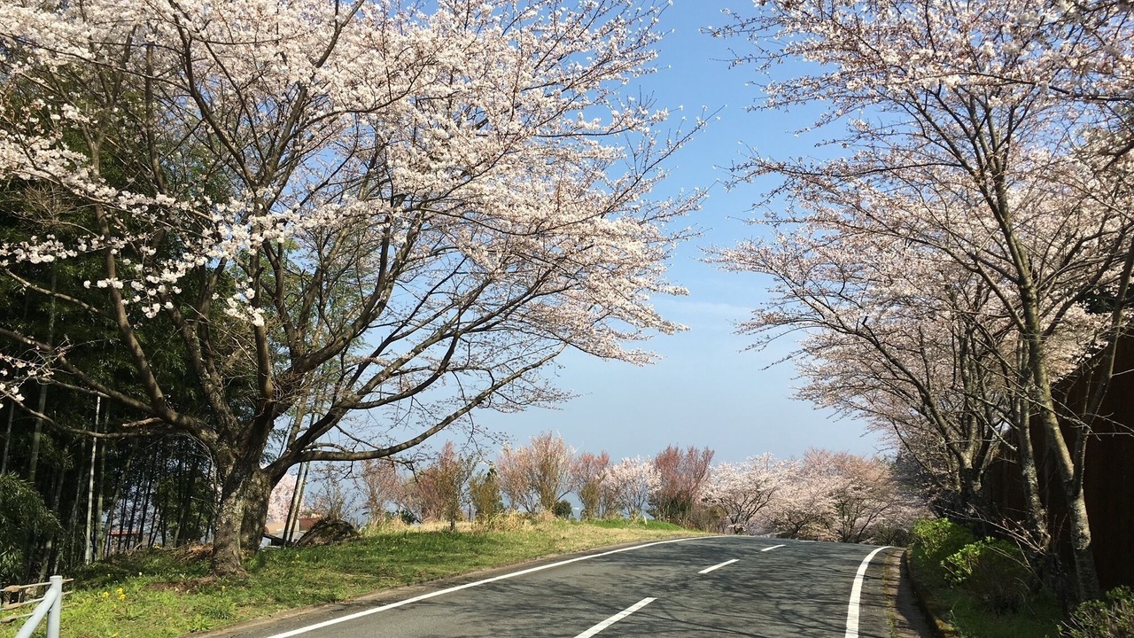 Photo of Outdoor in Kurogi