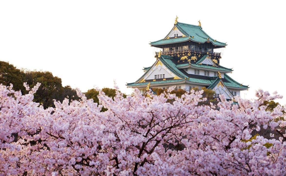 Photo of Others in Higashishinsaibashi