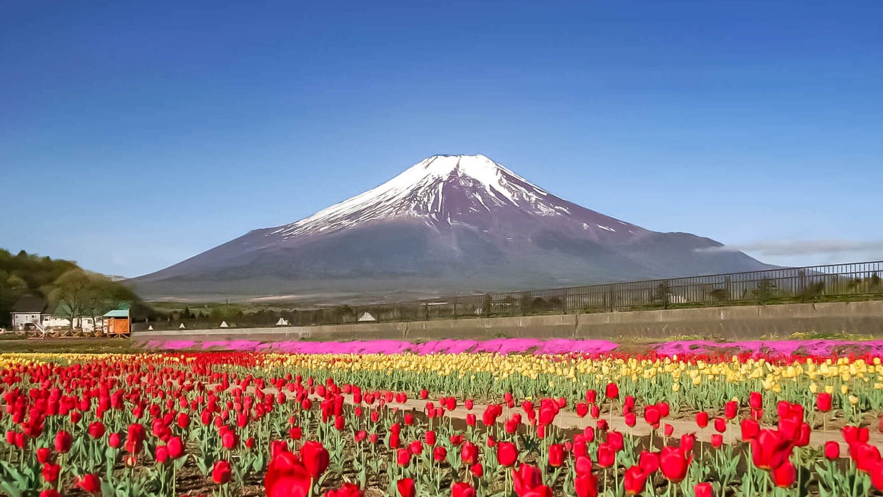 Photo of Others in Yamanakako