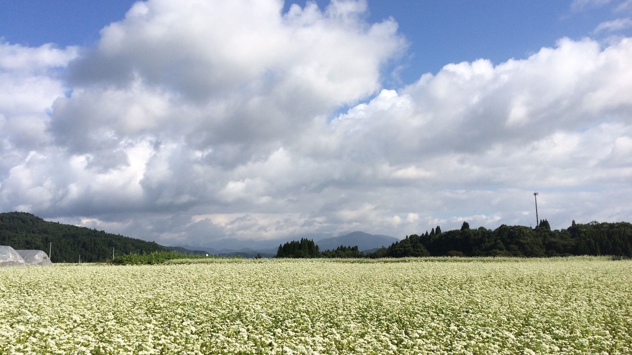 Photo of Others in Nishiaizu-machi