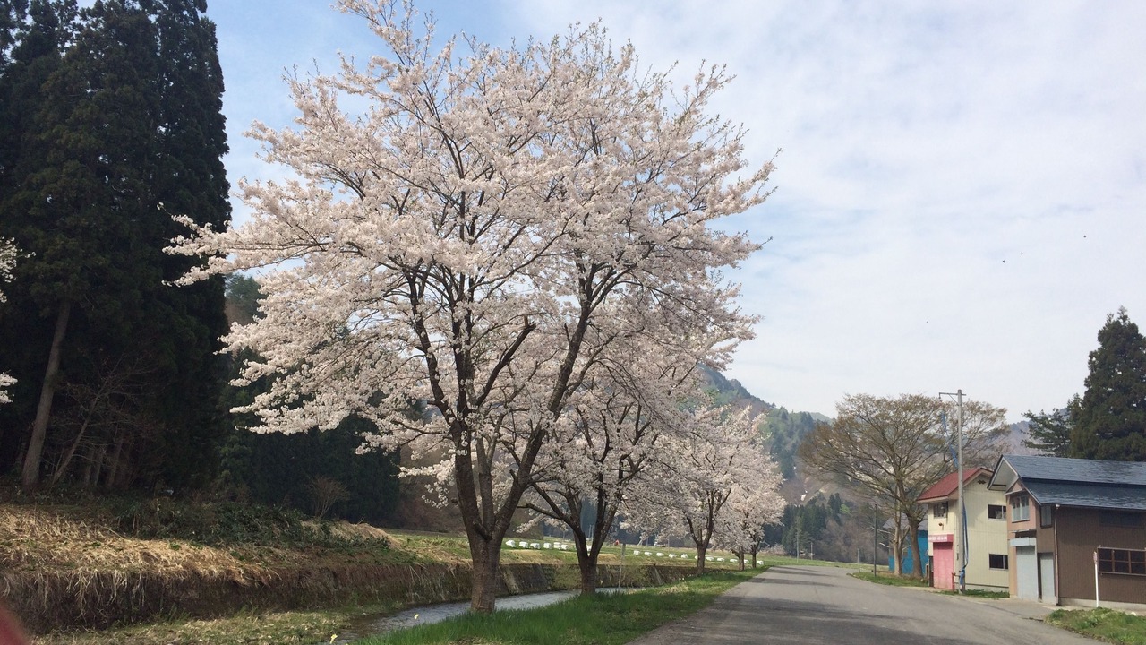 Photo of Outdoor in Nishiaizu-machi